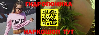 мяу мяу мука Будённовск