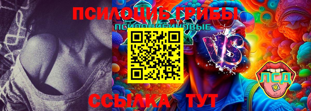 Миллерово  Галлюциногенные грибы Cubensis  Вход с VPN 